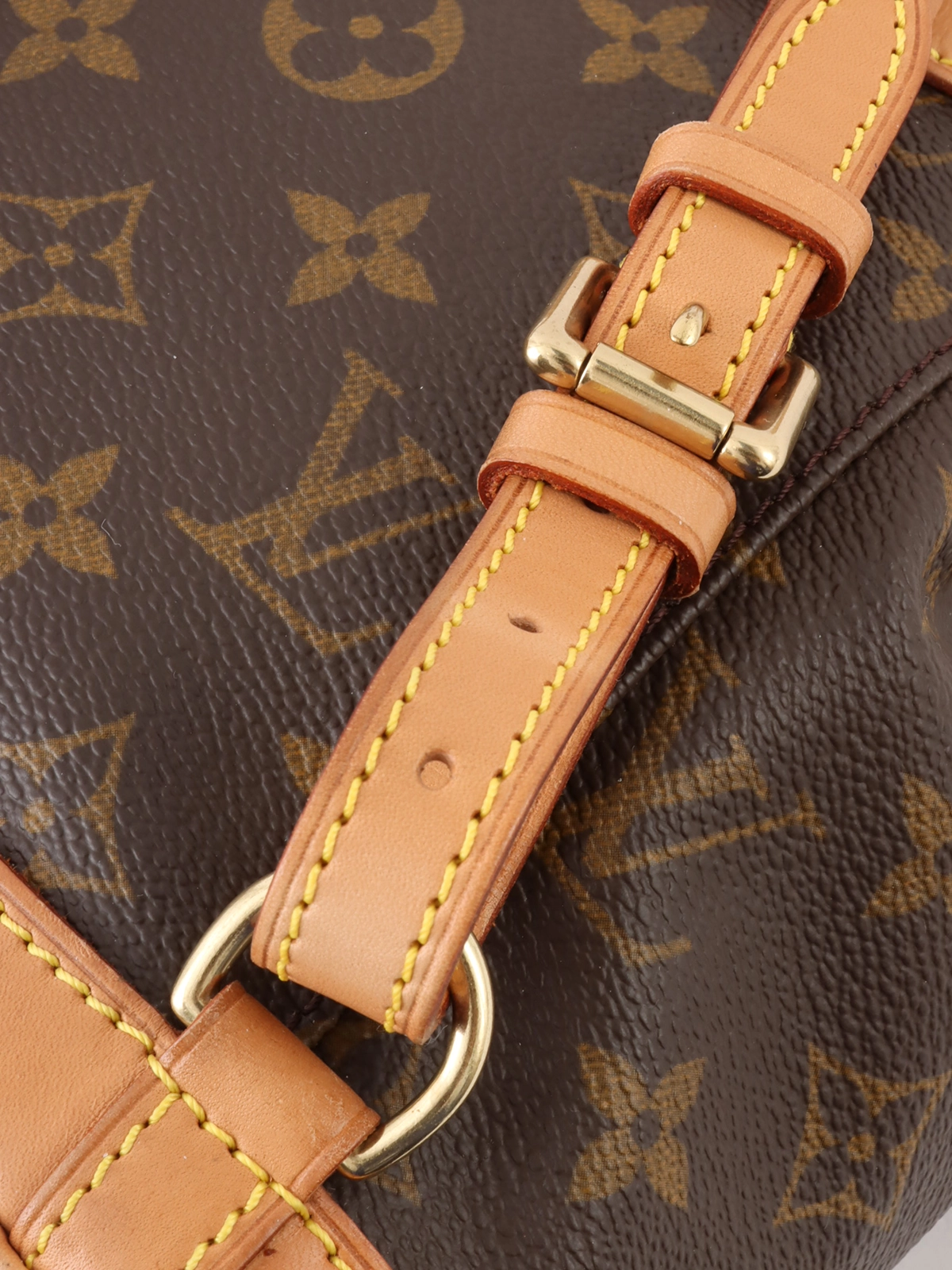 LOUIS VUITTON◇モンスリMM_モノグラム・キャンバス_BRW/PVC/BRW