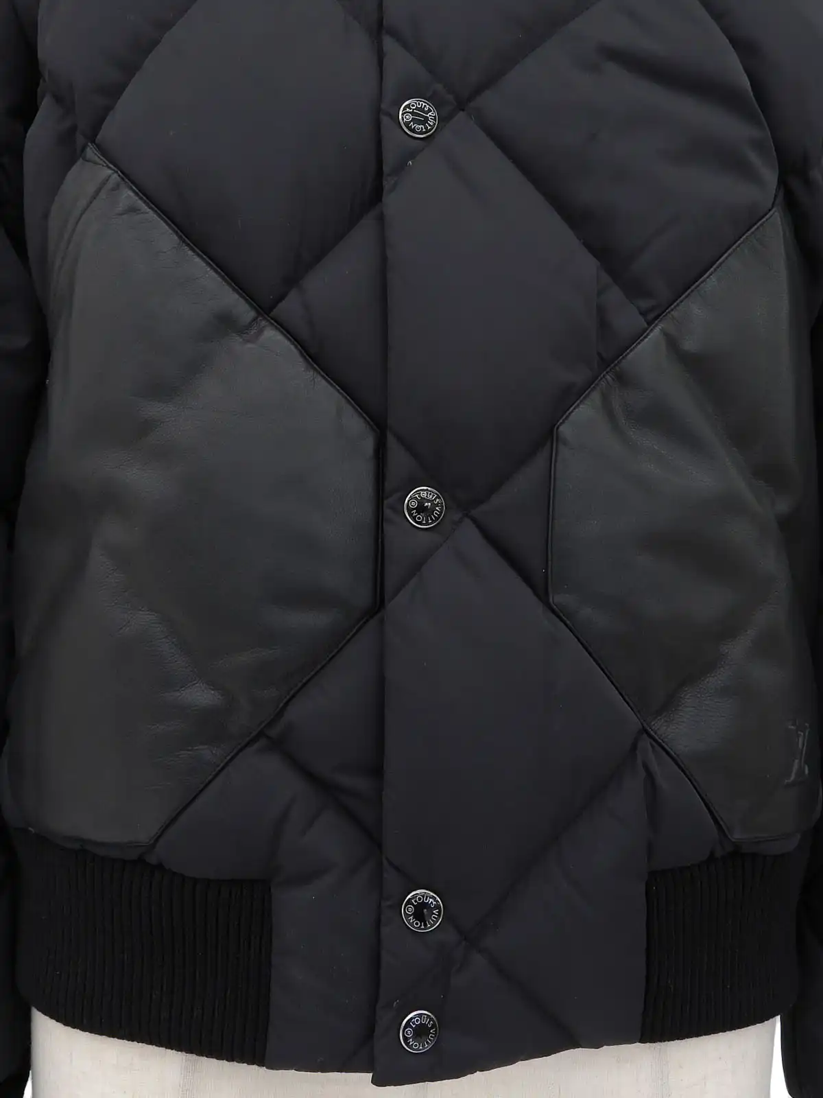 LOUIS VUITTON ナイロンレザーコンビロゴボタン2wayダウン